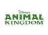 Animal Kingdom